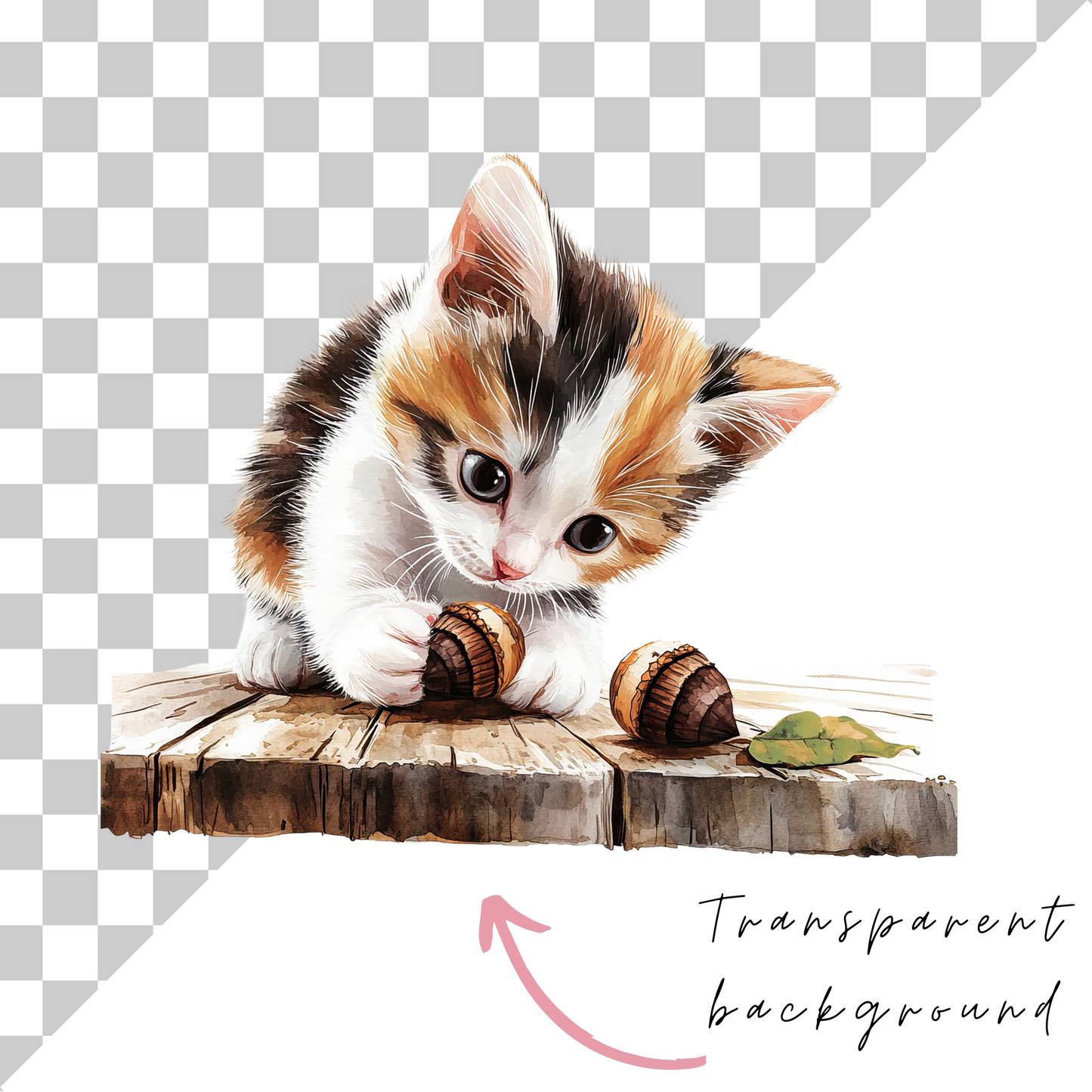A cute kitten is sitting on a wooden surface, playing with a snail.
