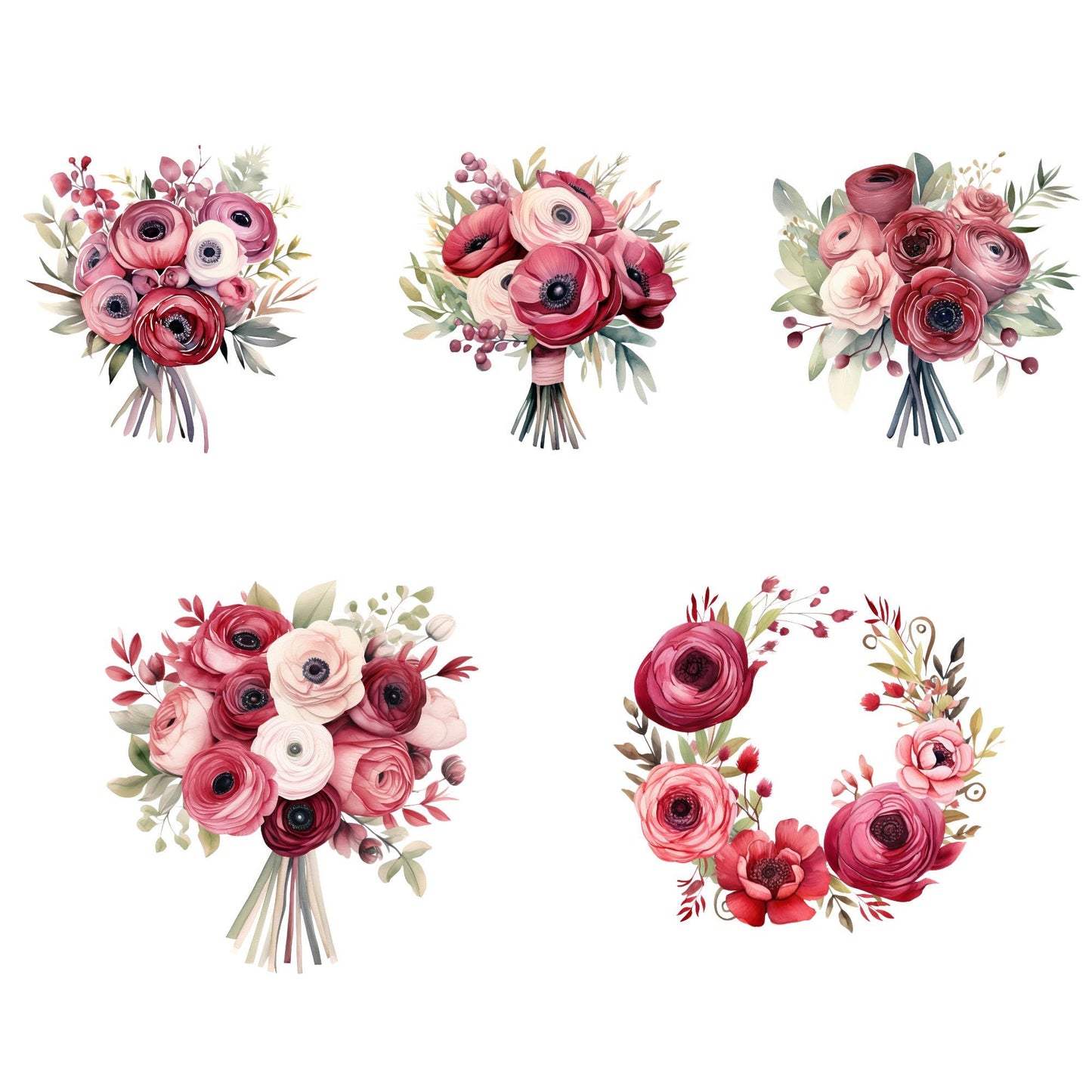 Clipart floral de ranúnculos rojos y ruborizados
