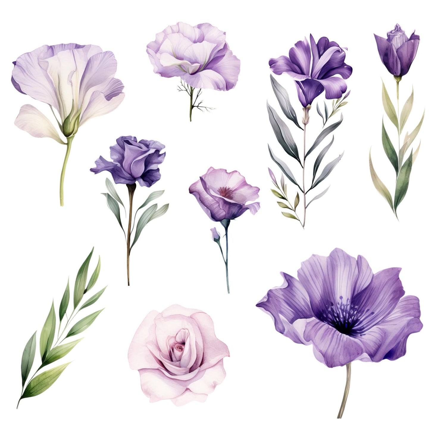 Clipart floral morado claro y oscuro