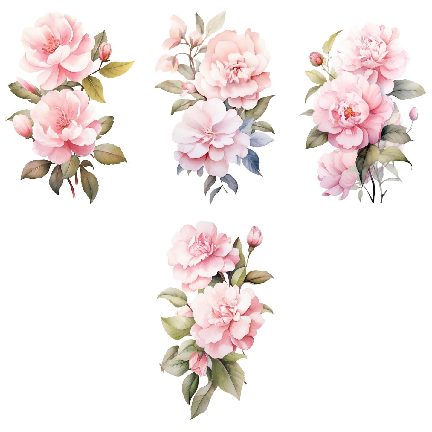 Pink Camellias Floral Clipart