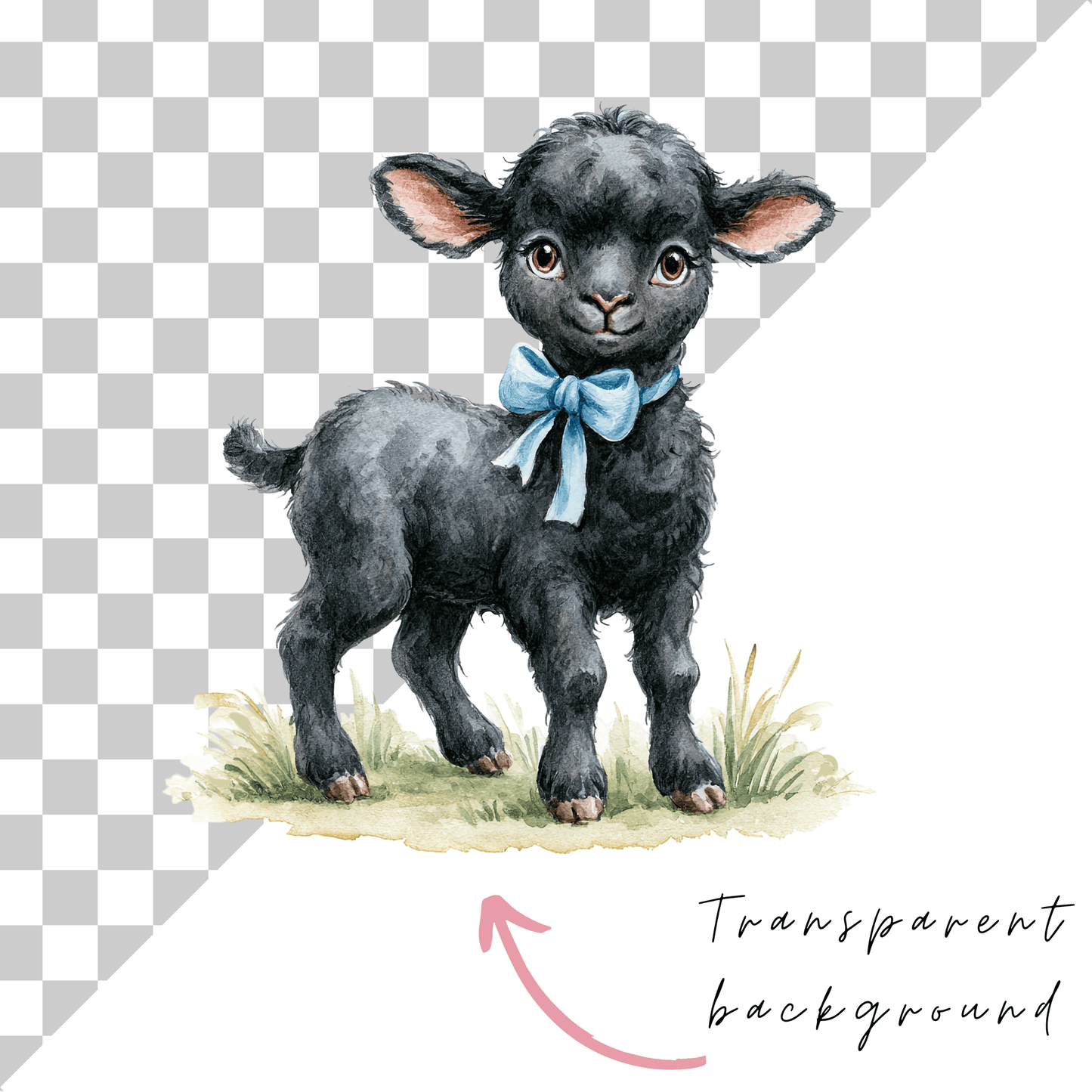 Baa Baa Black Sheep Nursery Rhyme Clipart Bundle | Watercolor Storybook PNGs