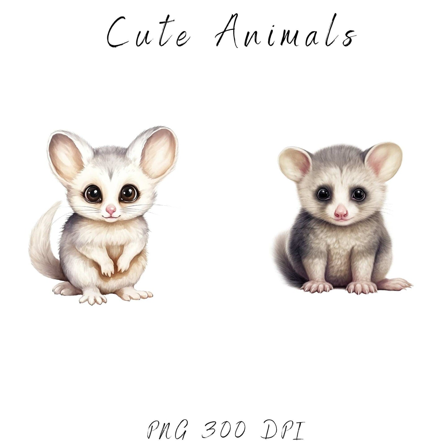 Baby Australian Animals Clipart