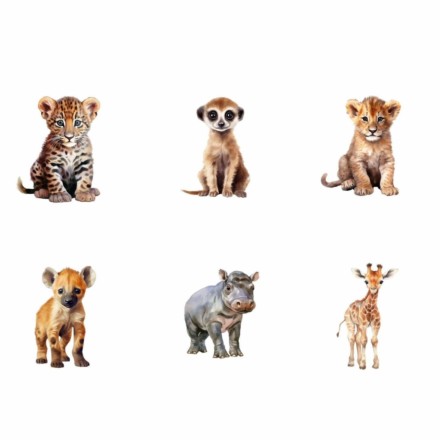 Baby Safari animal clipart