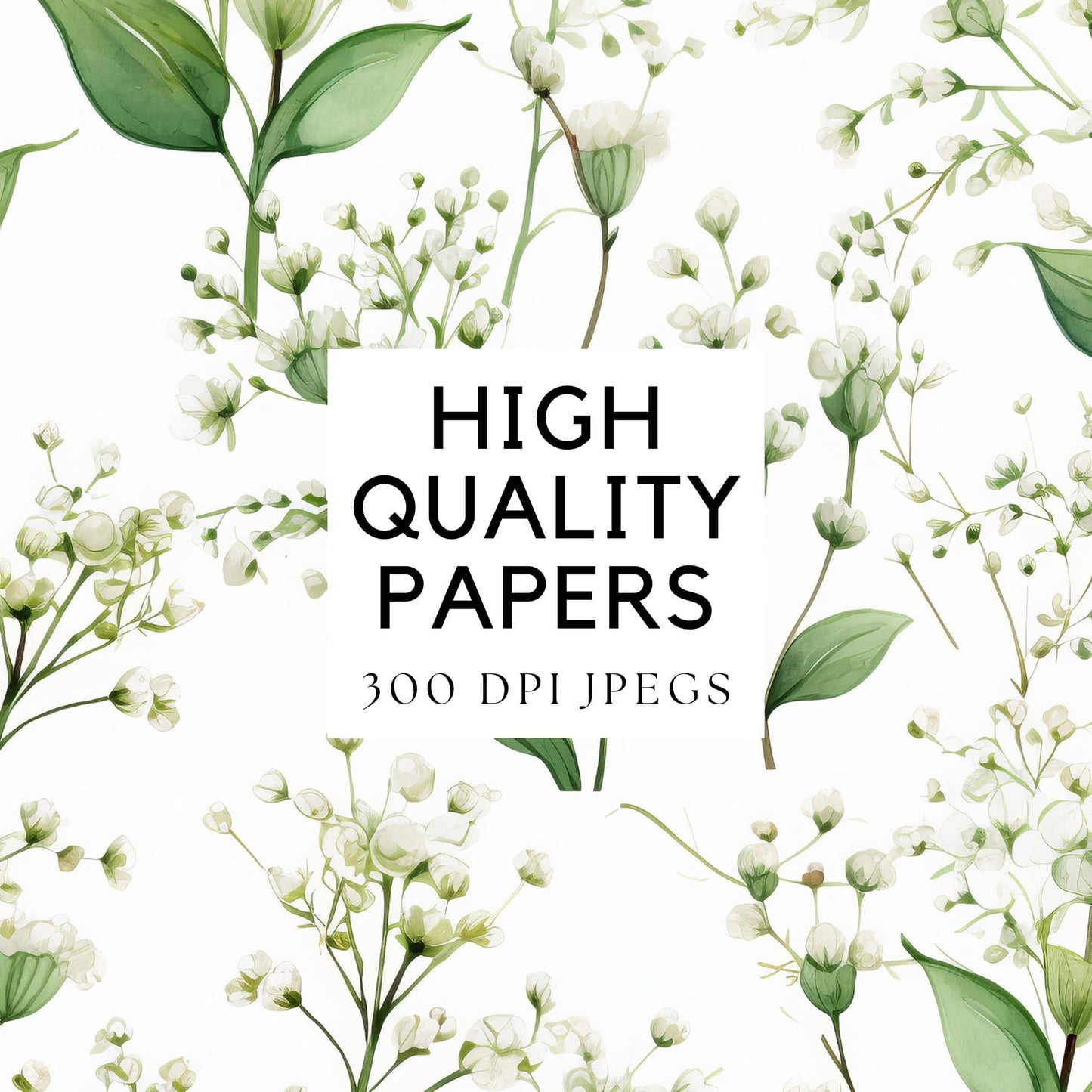 Babys breath digital paper