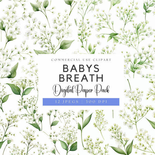 Babys breath digital paper