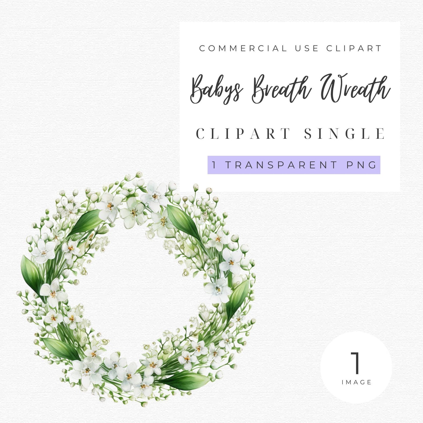 Babys Breath Wreath Clipart
