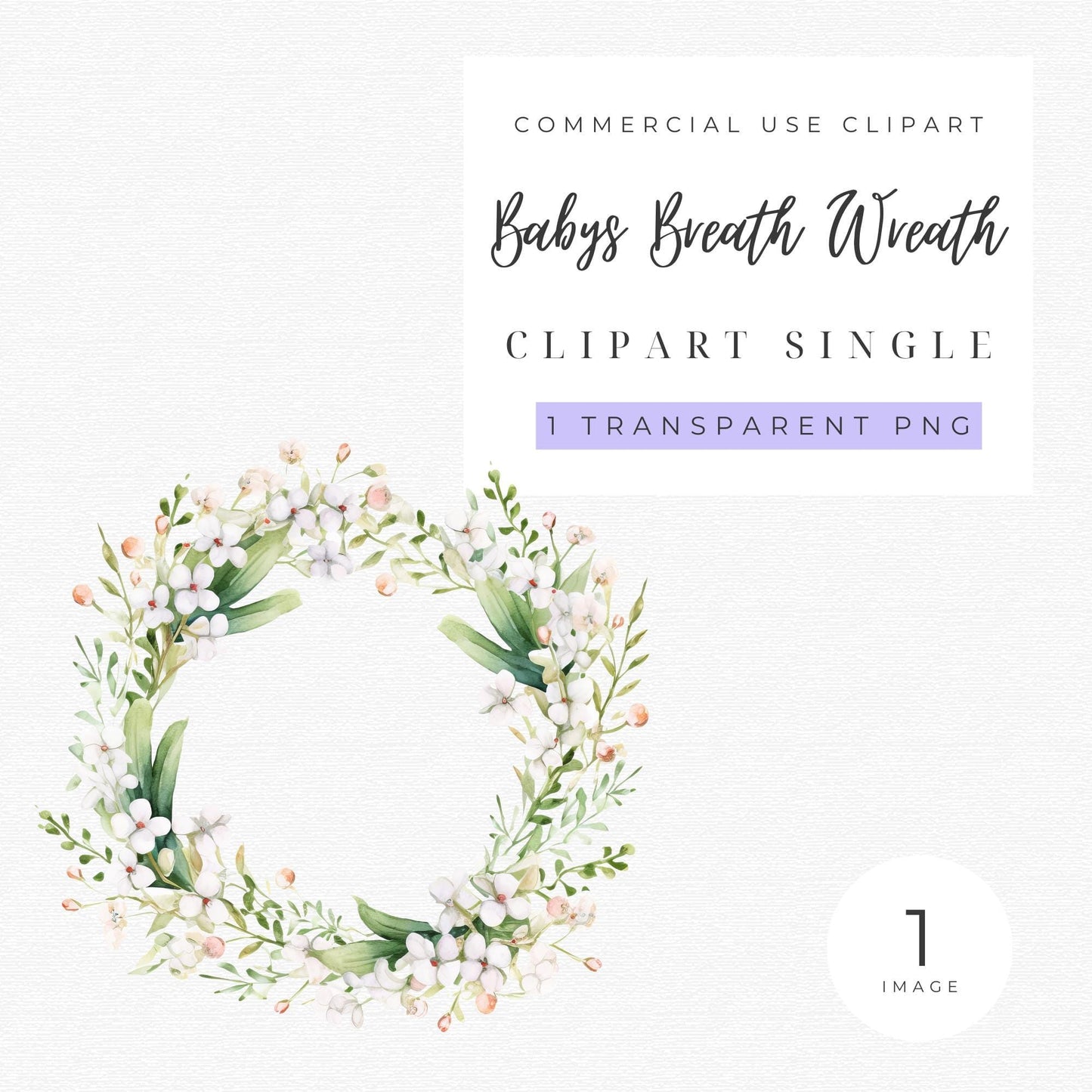 Babys Breath Wreath Clipart