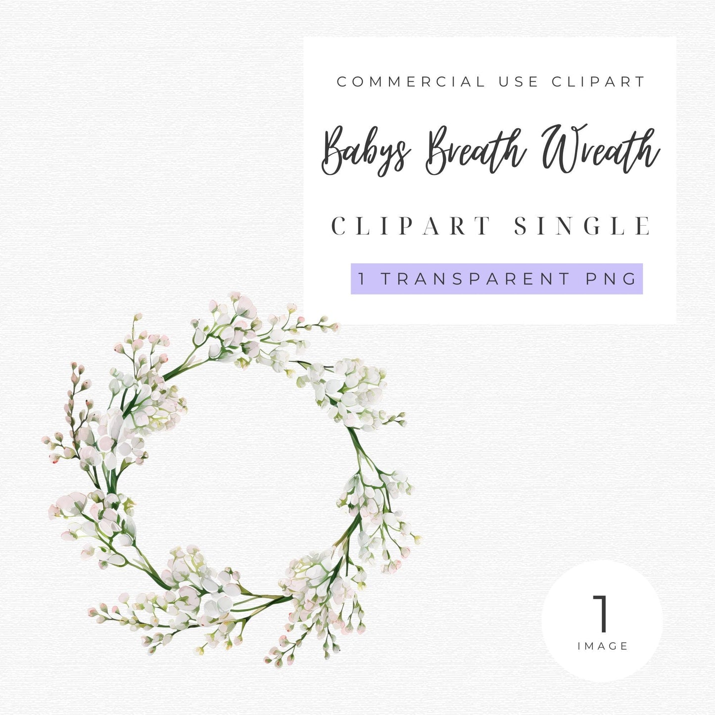 Babys Breath Wreath Clipart