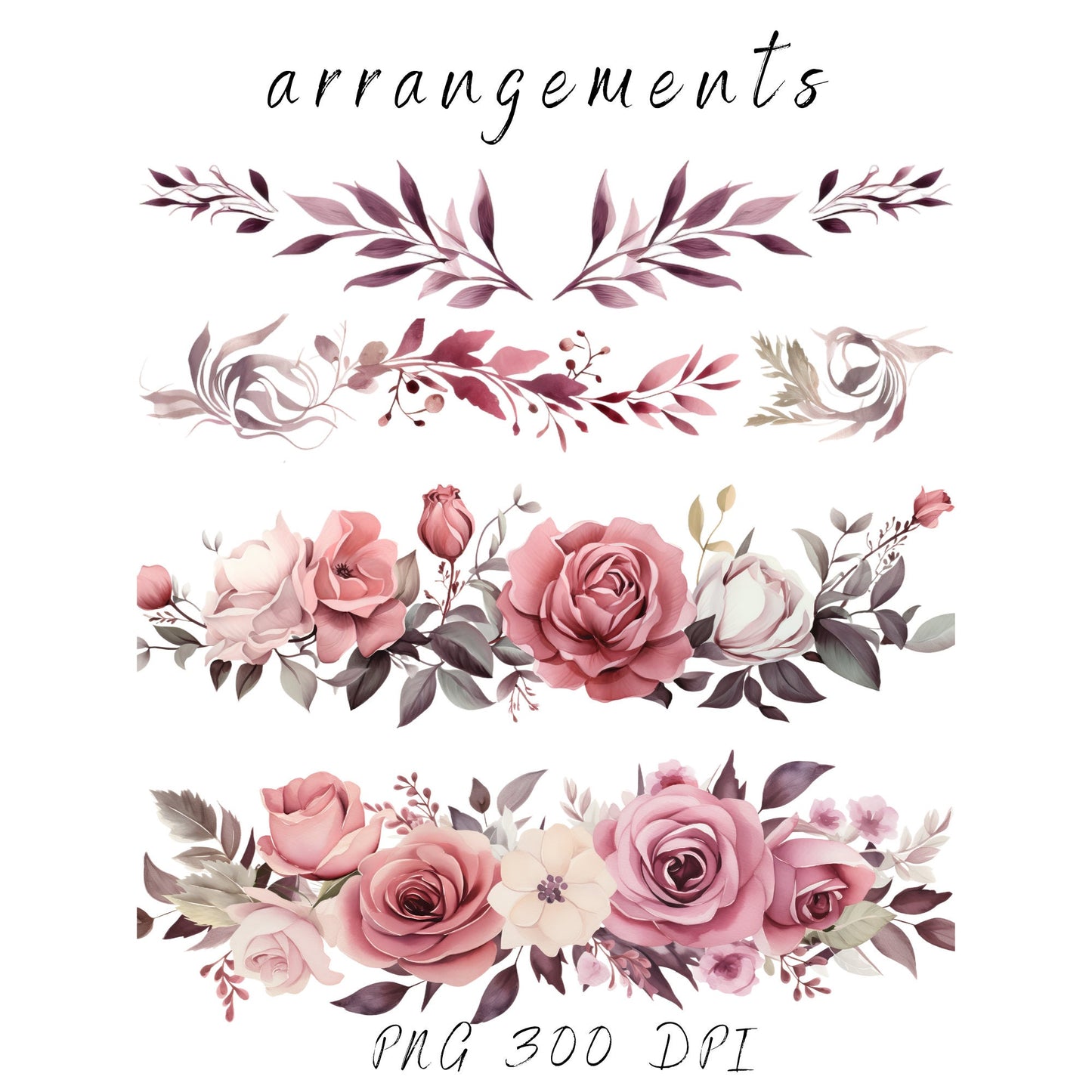 Pink Dusty Rose Clipart