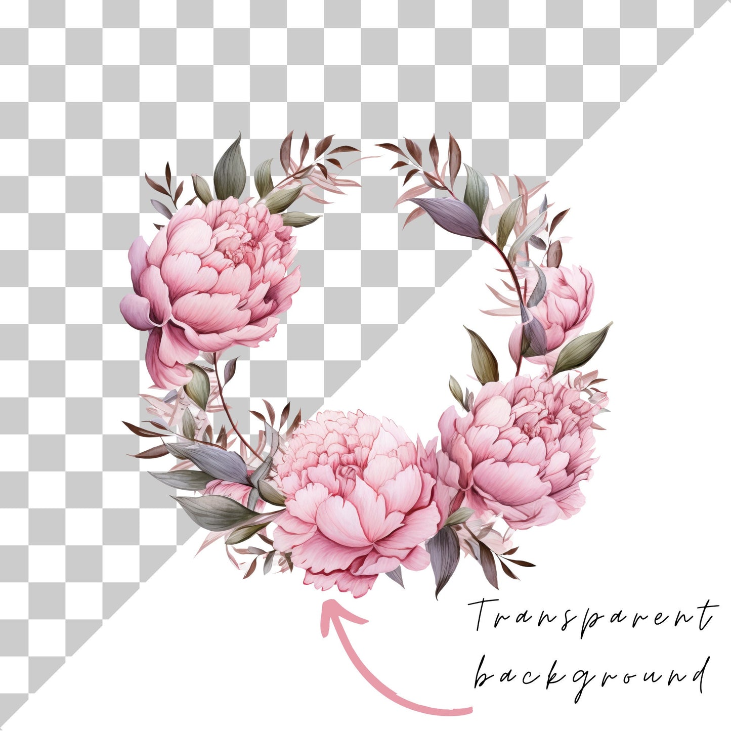 Watercolor Dusty Pink Peony Clipart