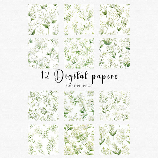 Babys breath digital paper