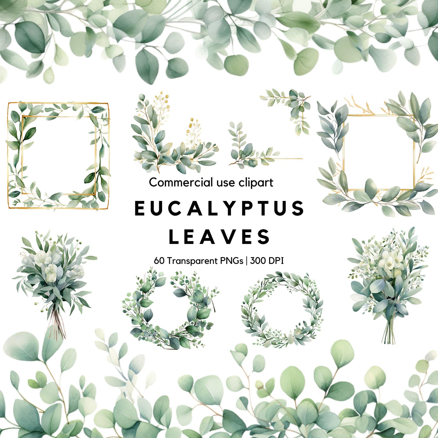 Clipart de hojas de eucalipto en acuarela