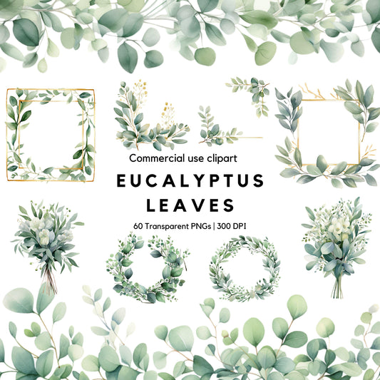 Clipart de hojas de eucalipto en acuarela