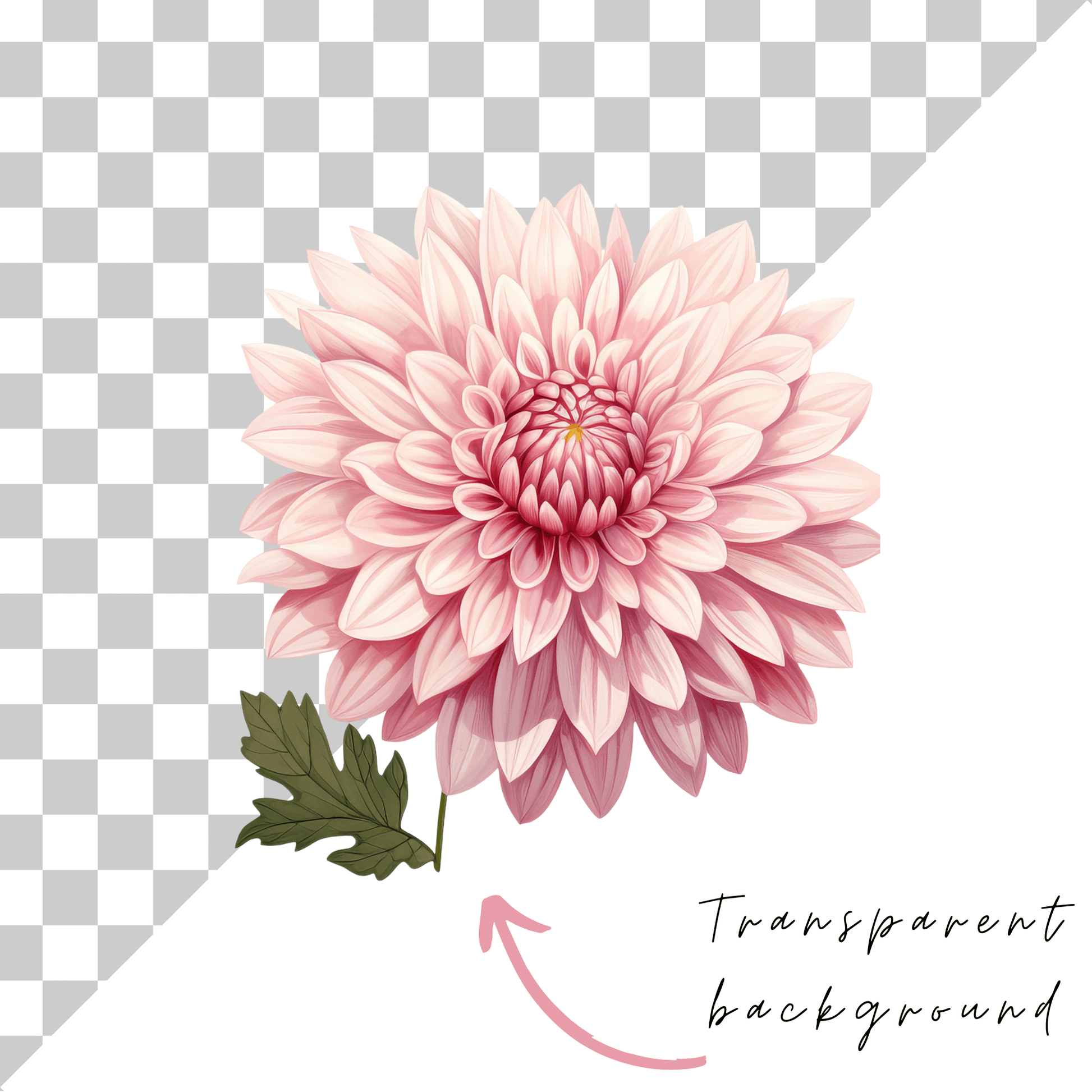 a pink flower on a checkered background
