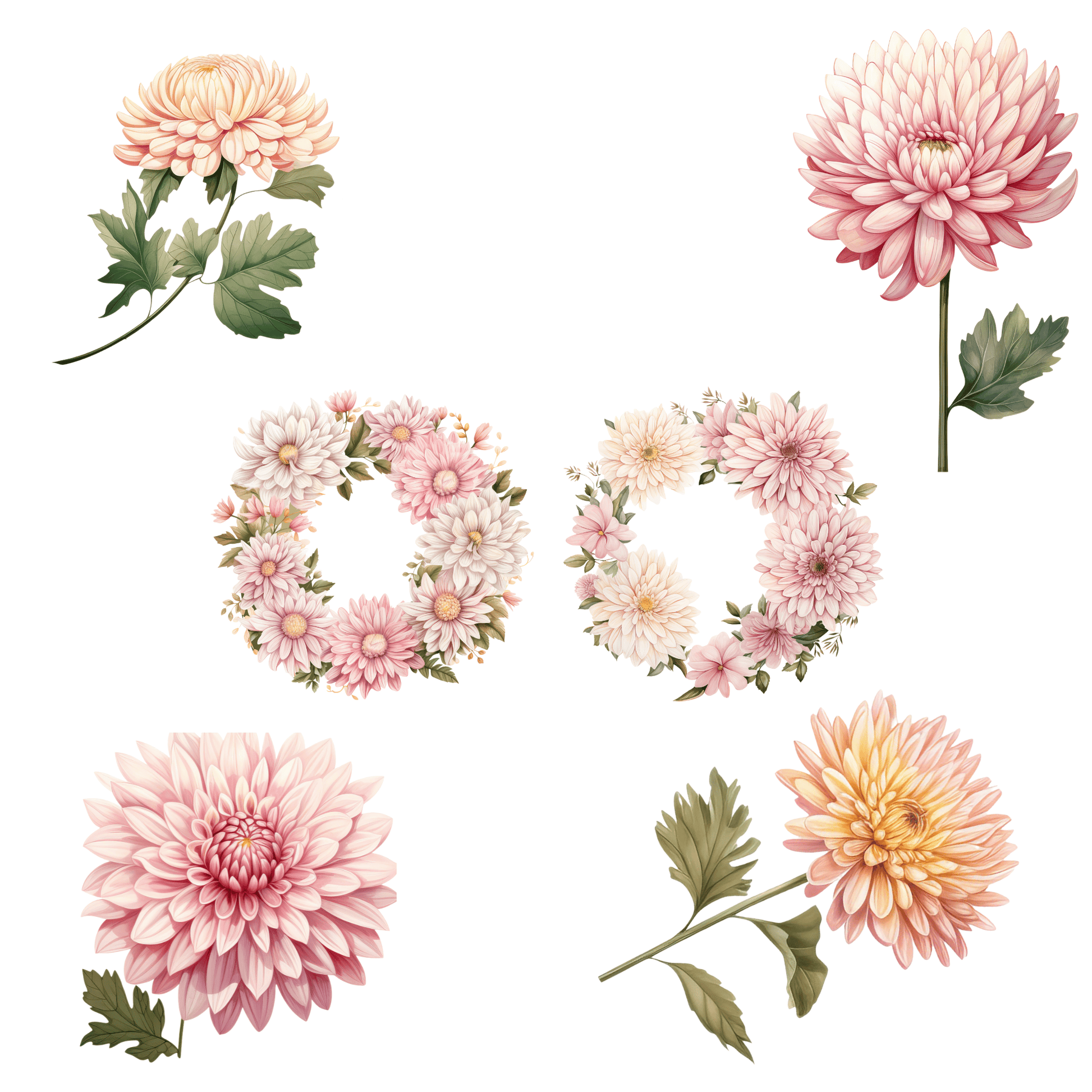 a bunch of flowers that are next to each other