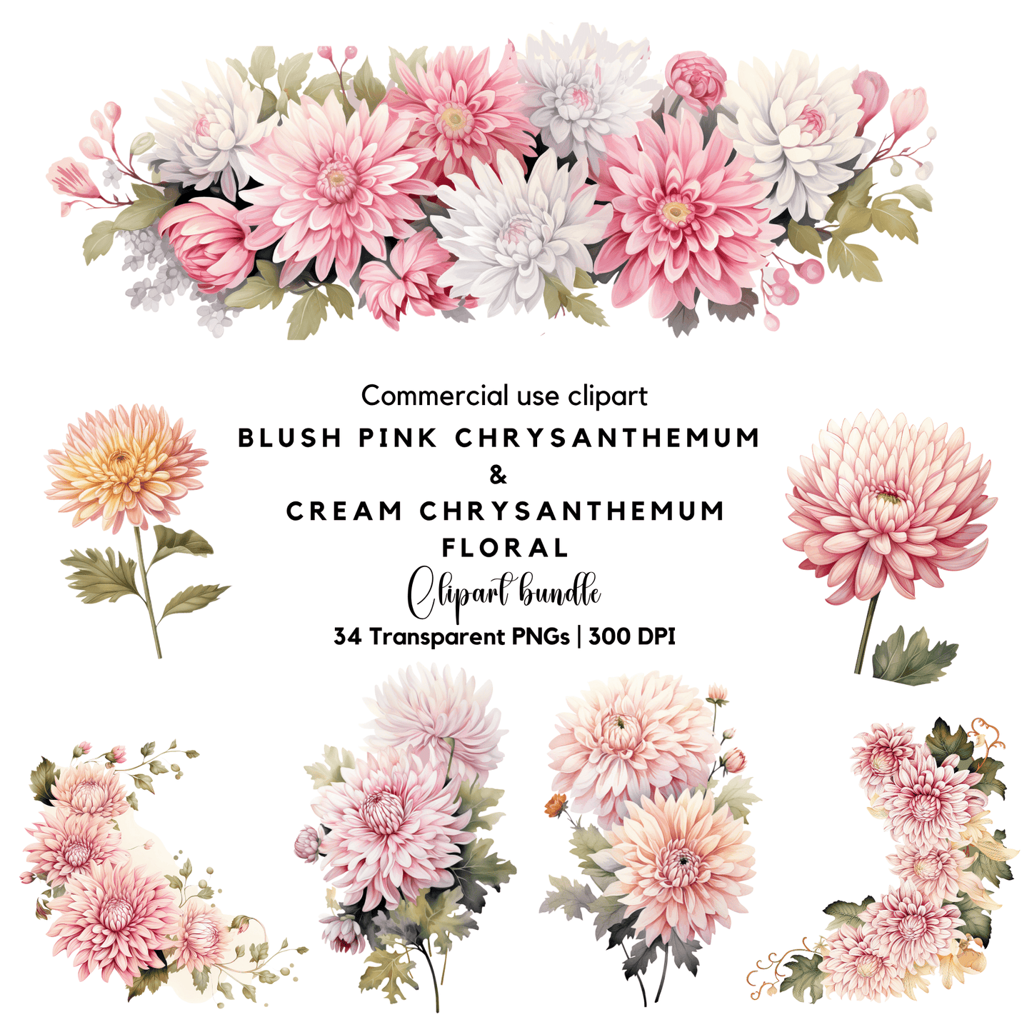 a bunch of pink chrysanthemum flowers on a white background