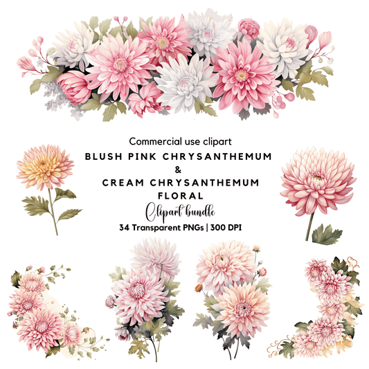 a bunch of pink chrysanthemum flowers on a white background
