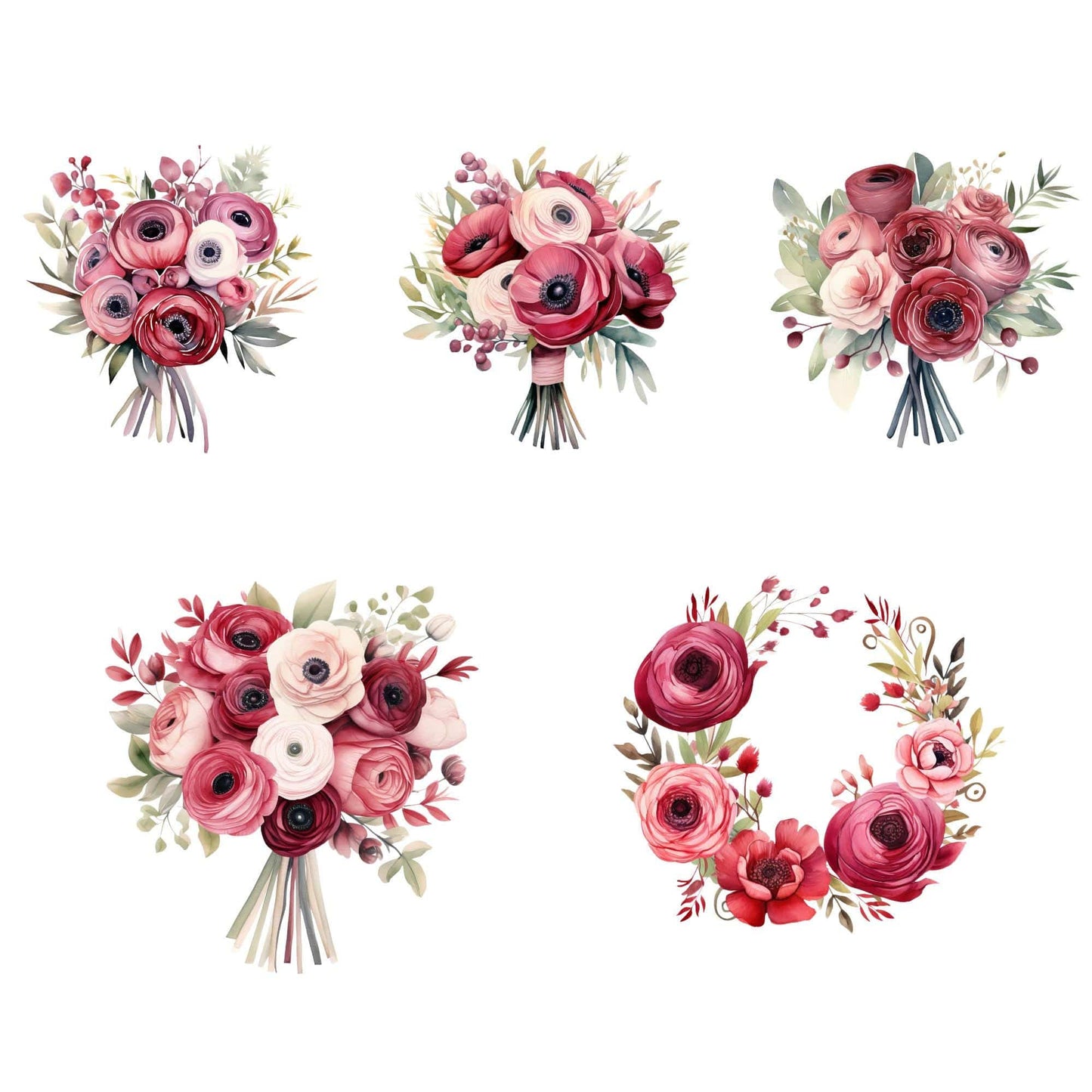 Blush & Red Ranunculus Floral Clipart