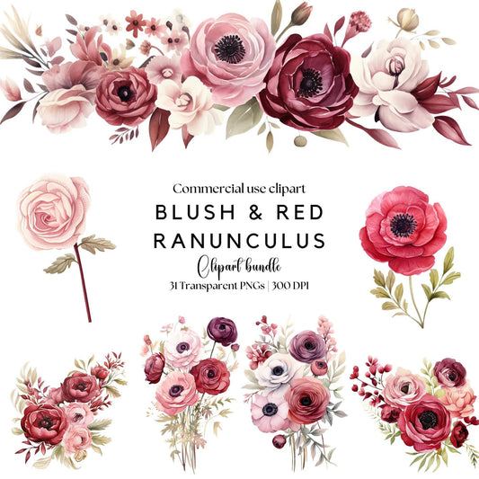 Blush & Red Ranunculus Floral Clipart