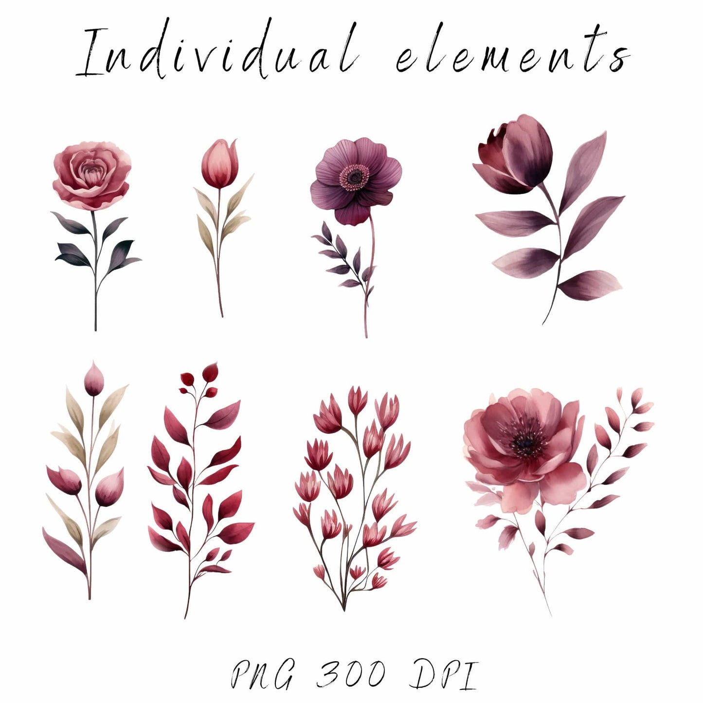 Burgundy and Blush Floral clipart pack