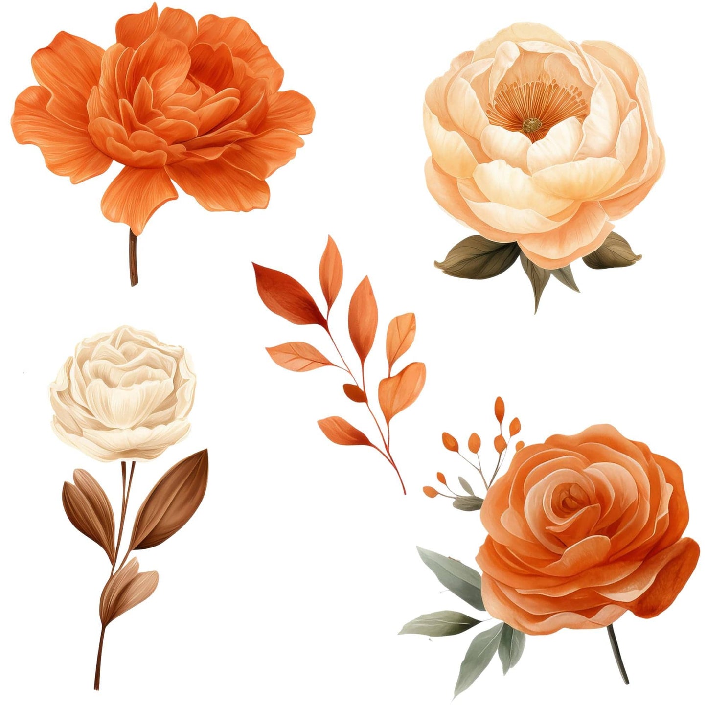 Burnt Orange & Ivory Pampas Floral Clipart