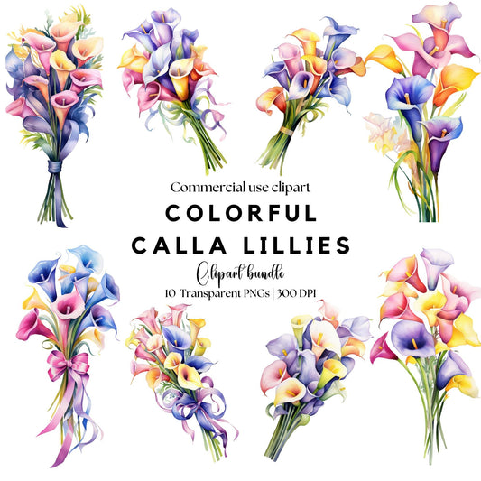 Clipart de lirio de cala colorido en acuarela