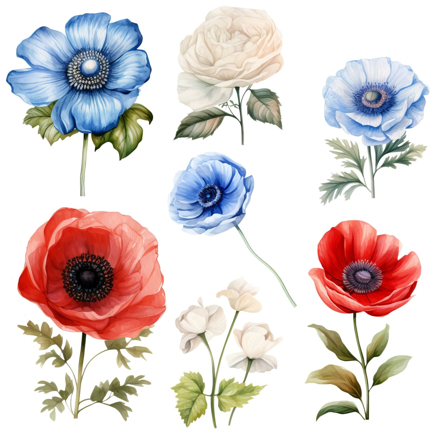 Clipart floral de acuarela del 4 de julio