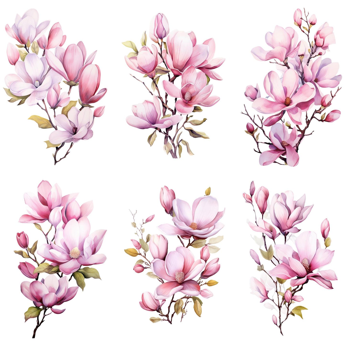 Clipart de magnolia rosa