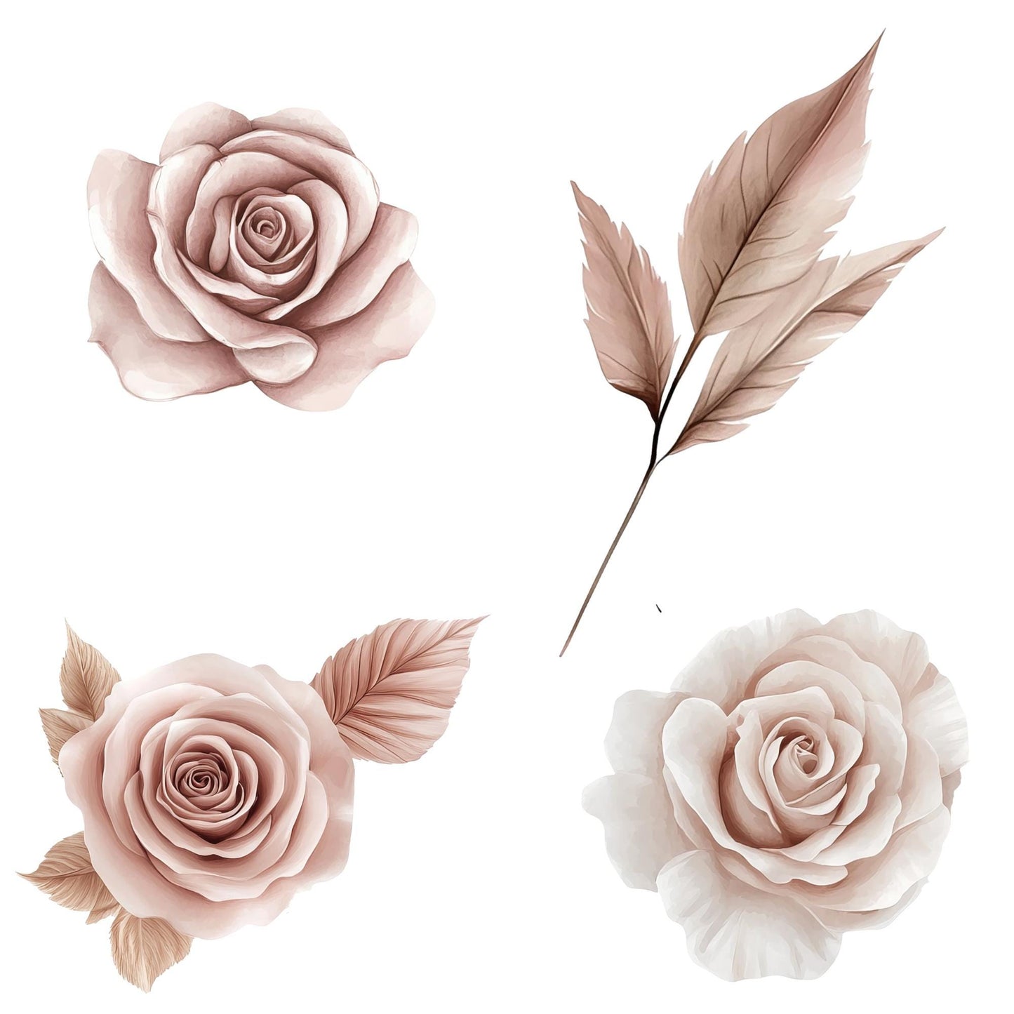 Clipart de pampas florales rosas en acuarela