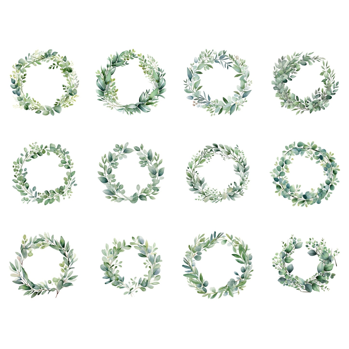 Clipart de hojas de eucalipto en acuarela