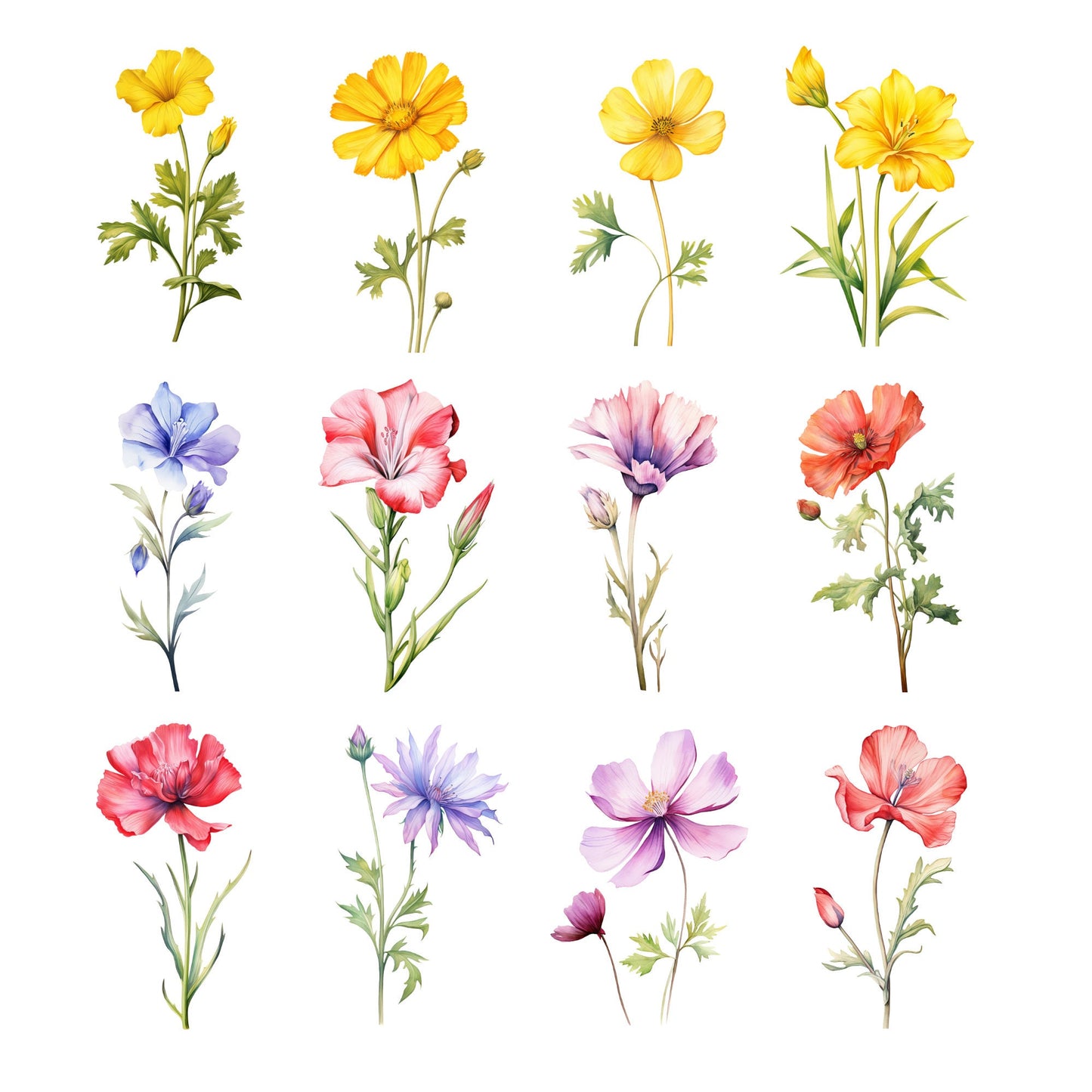 Watercolor Wild Flower Clipart