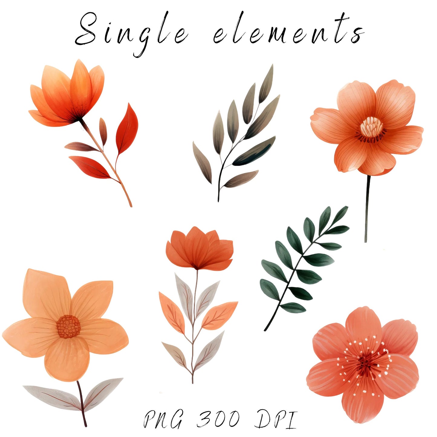 Clipart floral de terracota