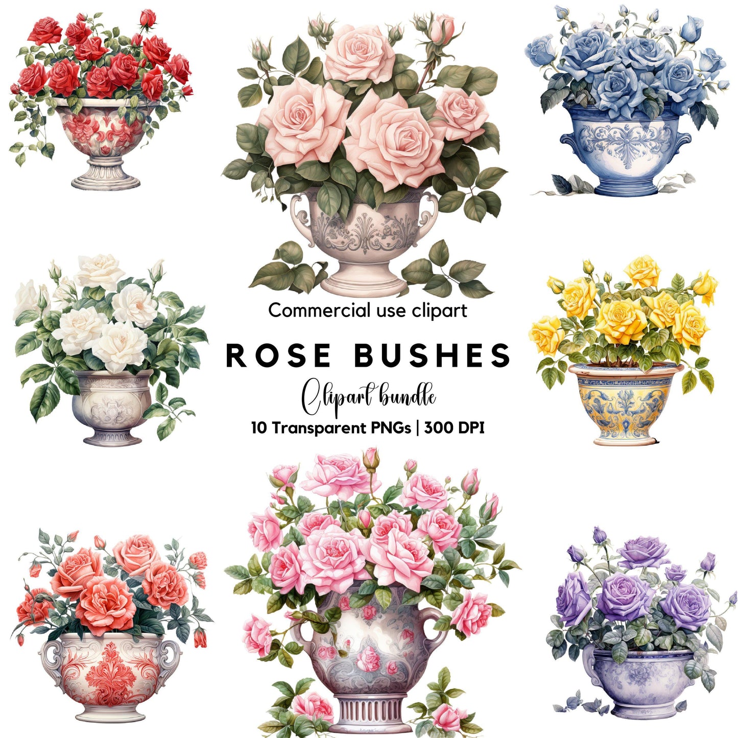 Watercolor Rose Bush Clipart