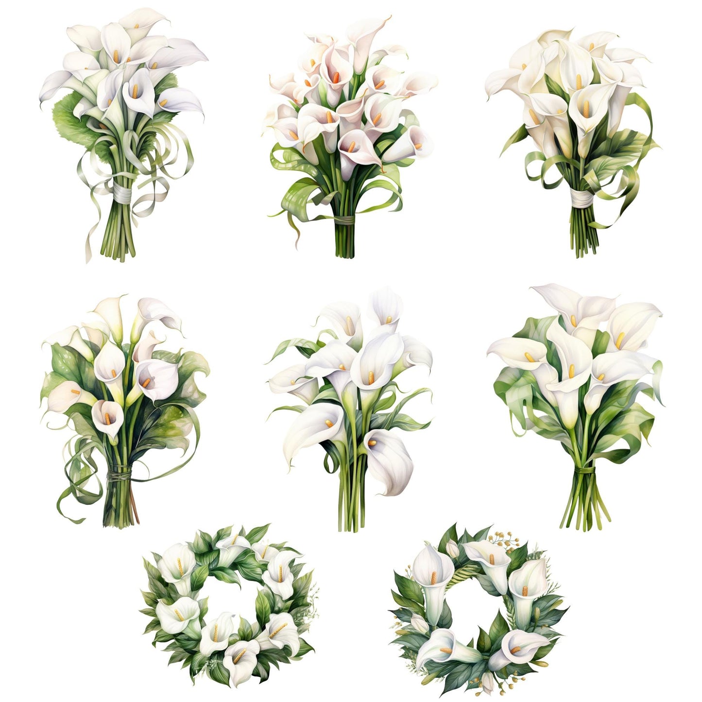 Clipart de lirio de cala blanco en acuarela