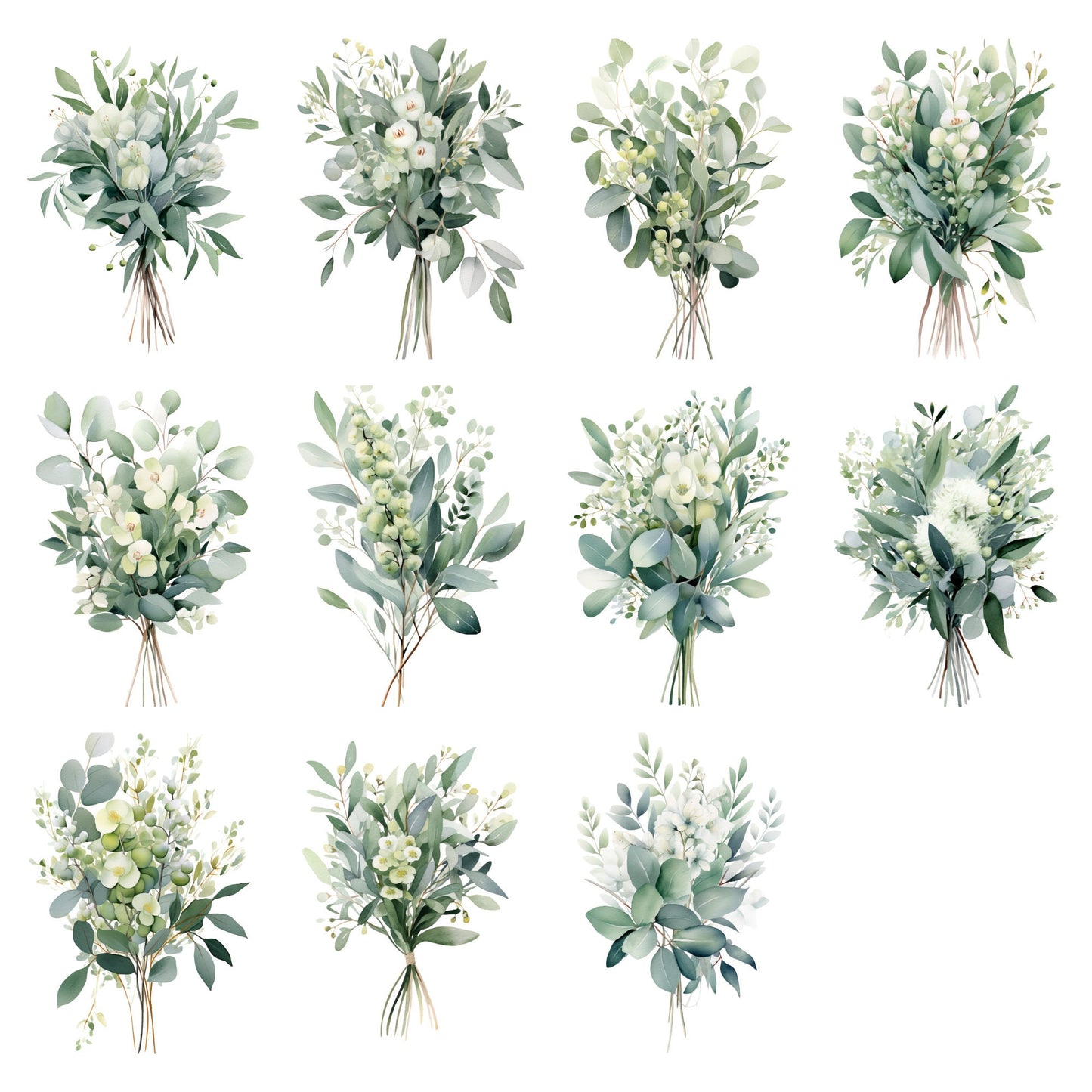 Clipart de hojas de eucalipto en acuarela