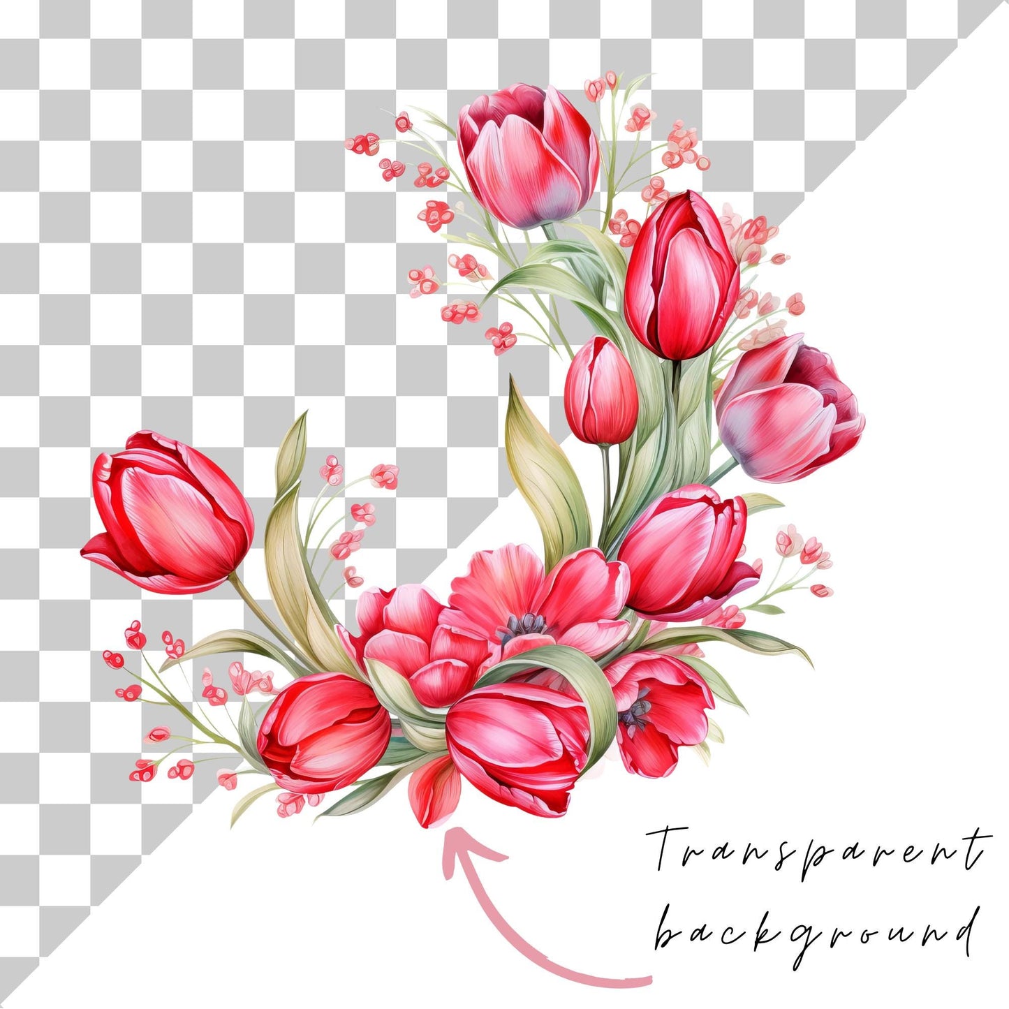 Red and Pink Tulip Clipart