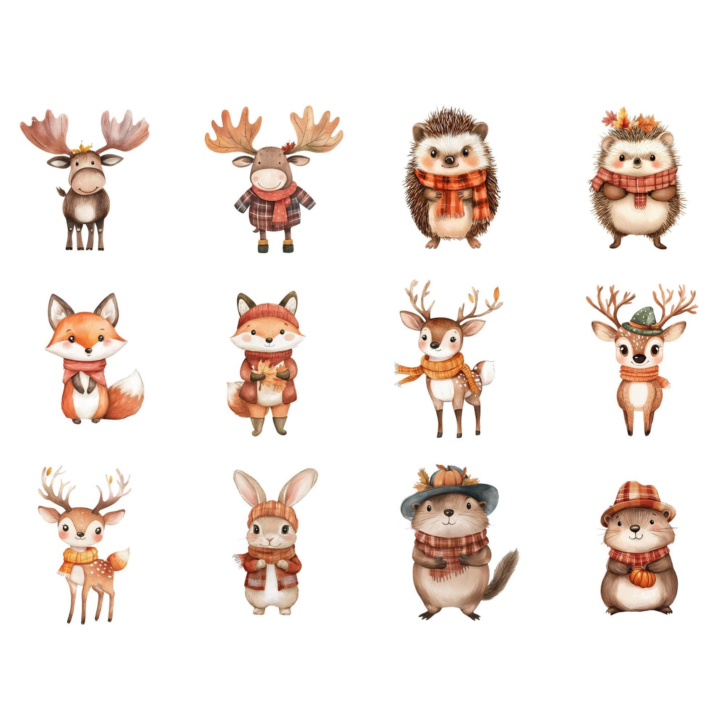 Fall Woodland Animals Clipart