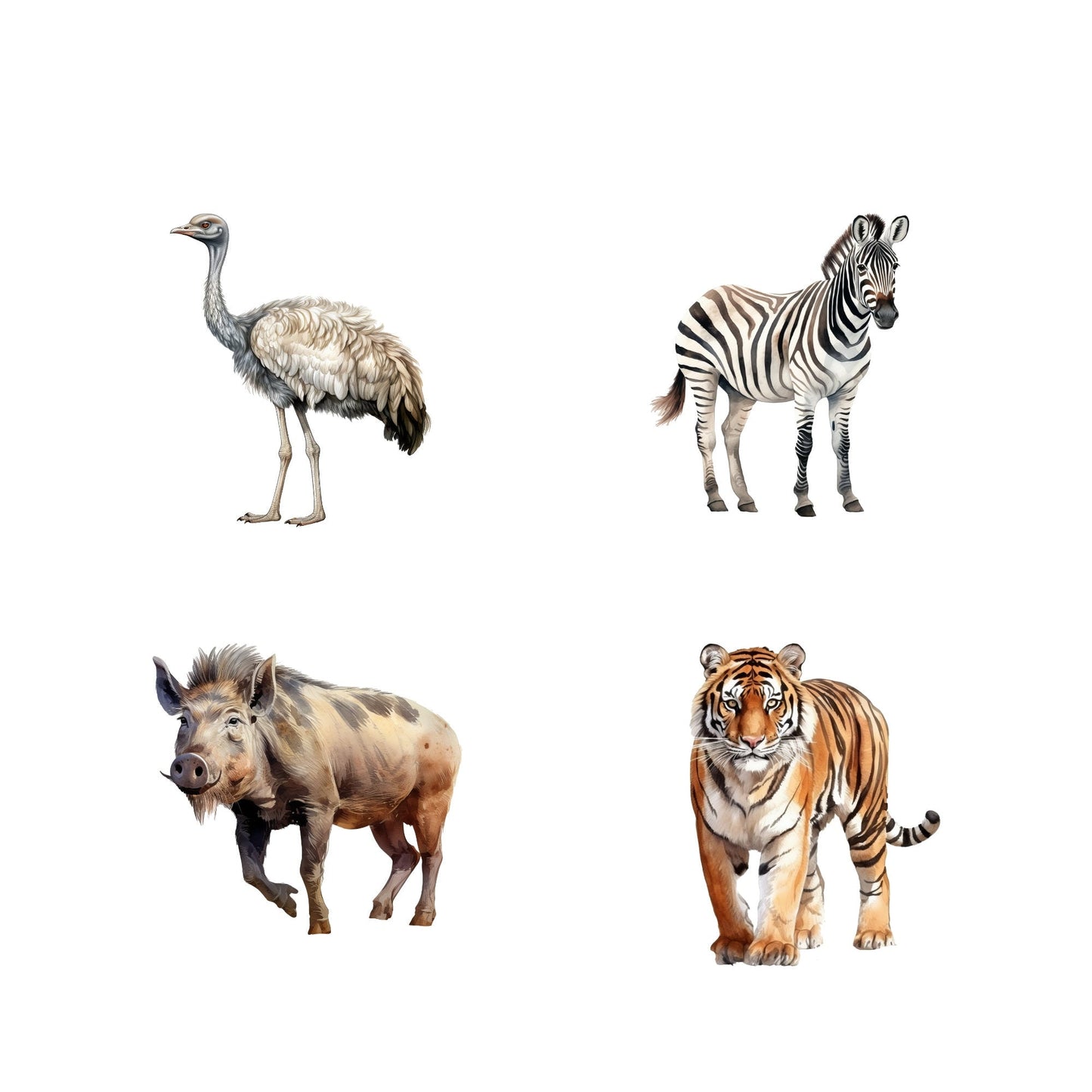 Safari animal clipart