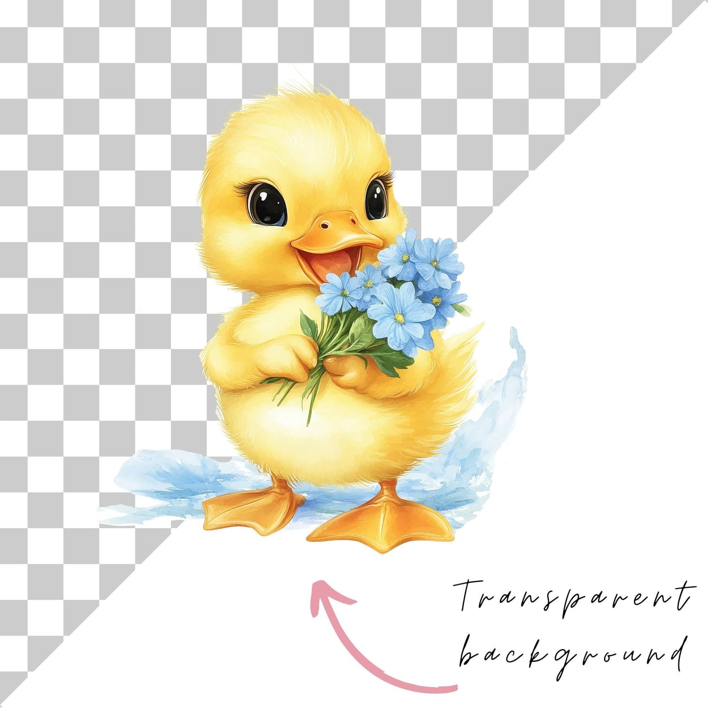 Duck in a puddle clipart