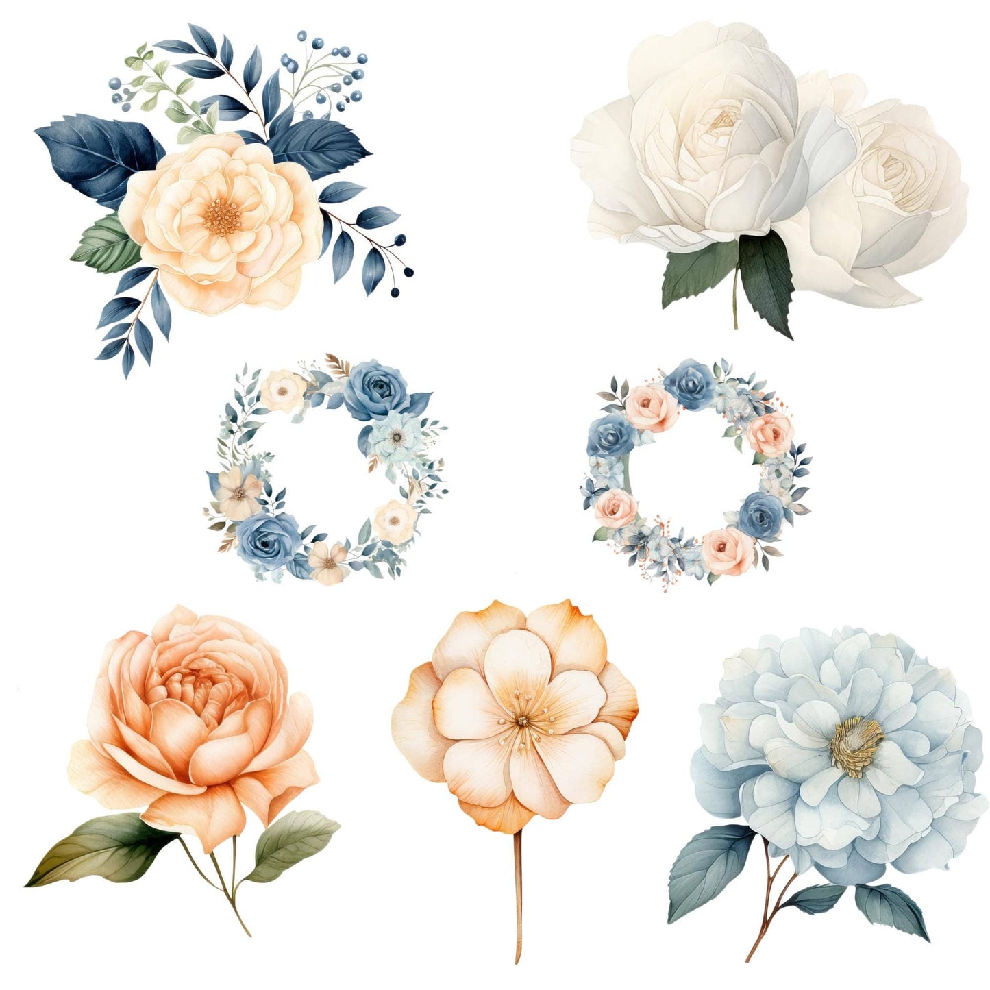 a bunch of flowers that are on a white background