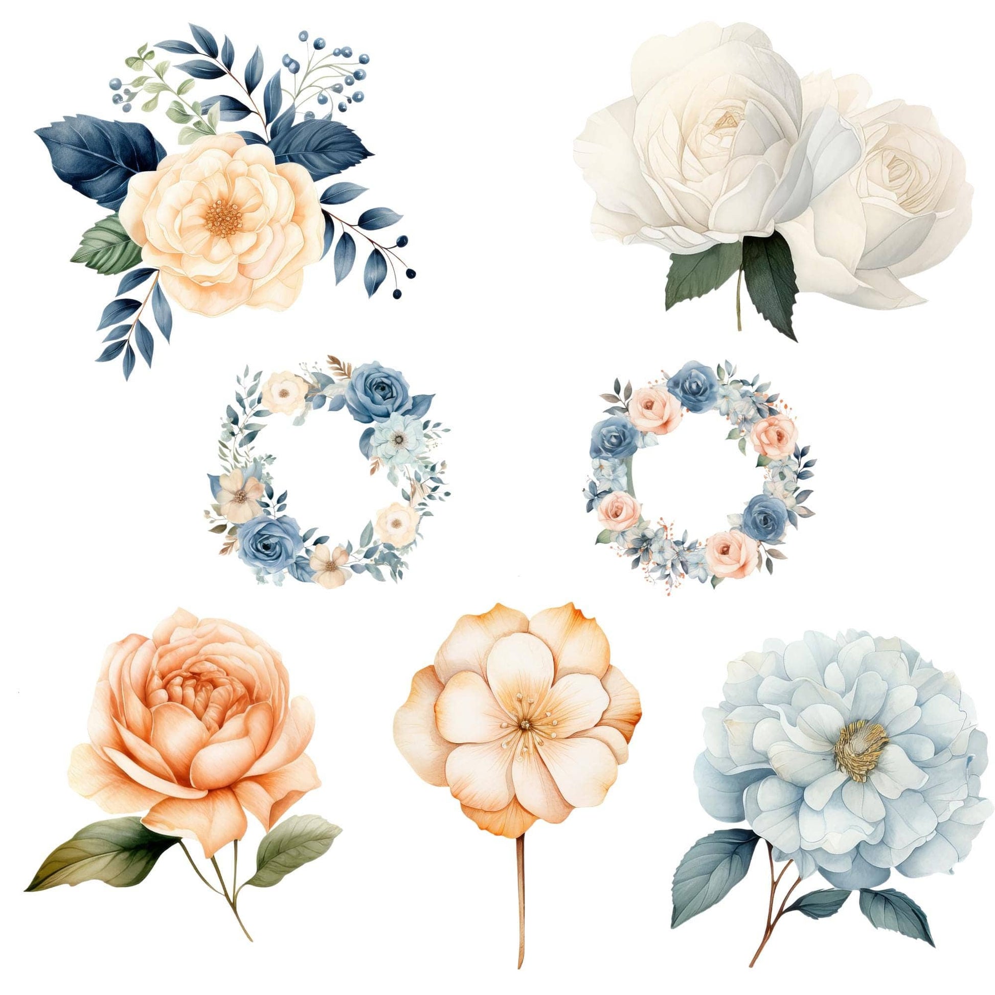 a bunch of flowers that are on a white background