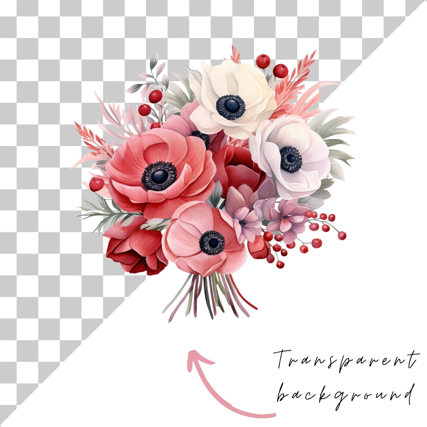 Clipart de anémona roja y rosa