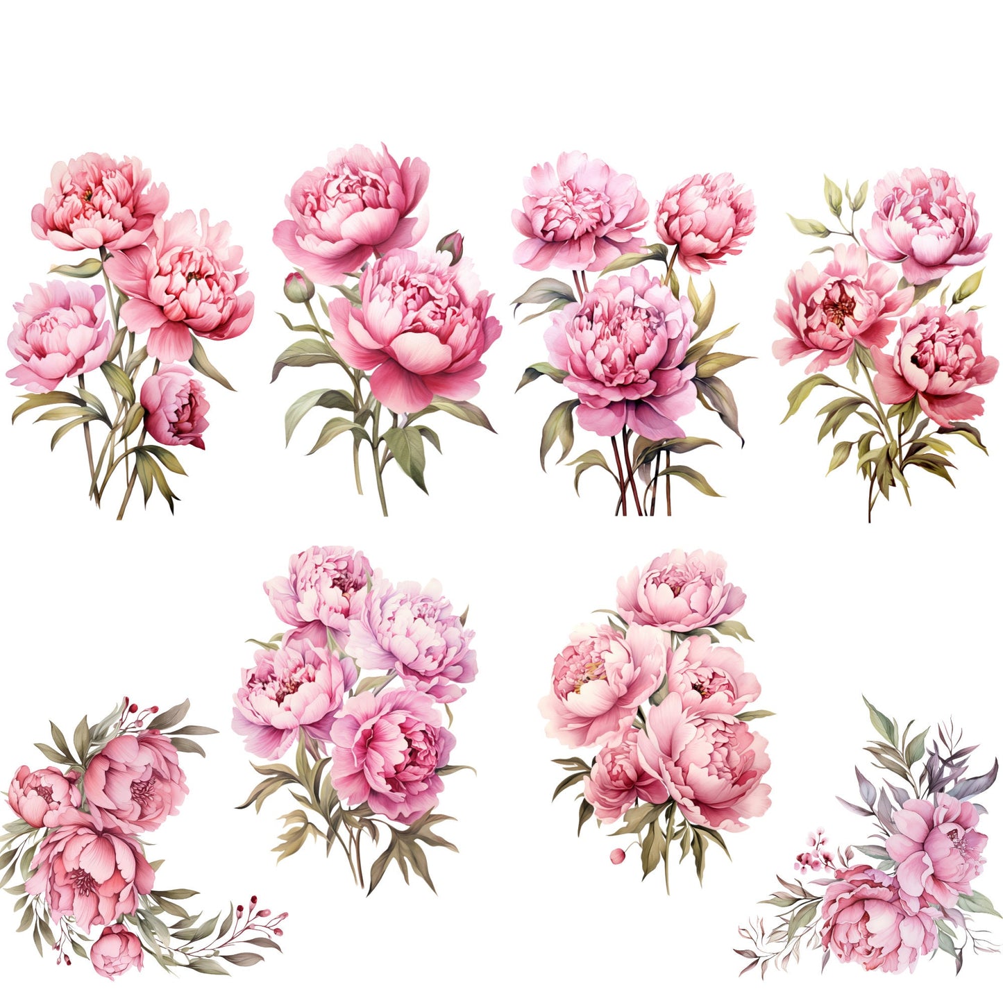 Watercolor Dusty Pink Peony Clipart