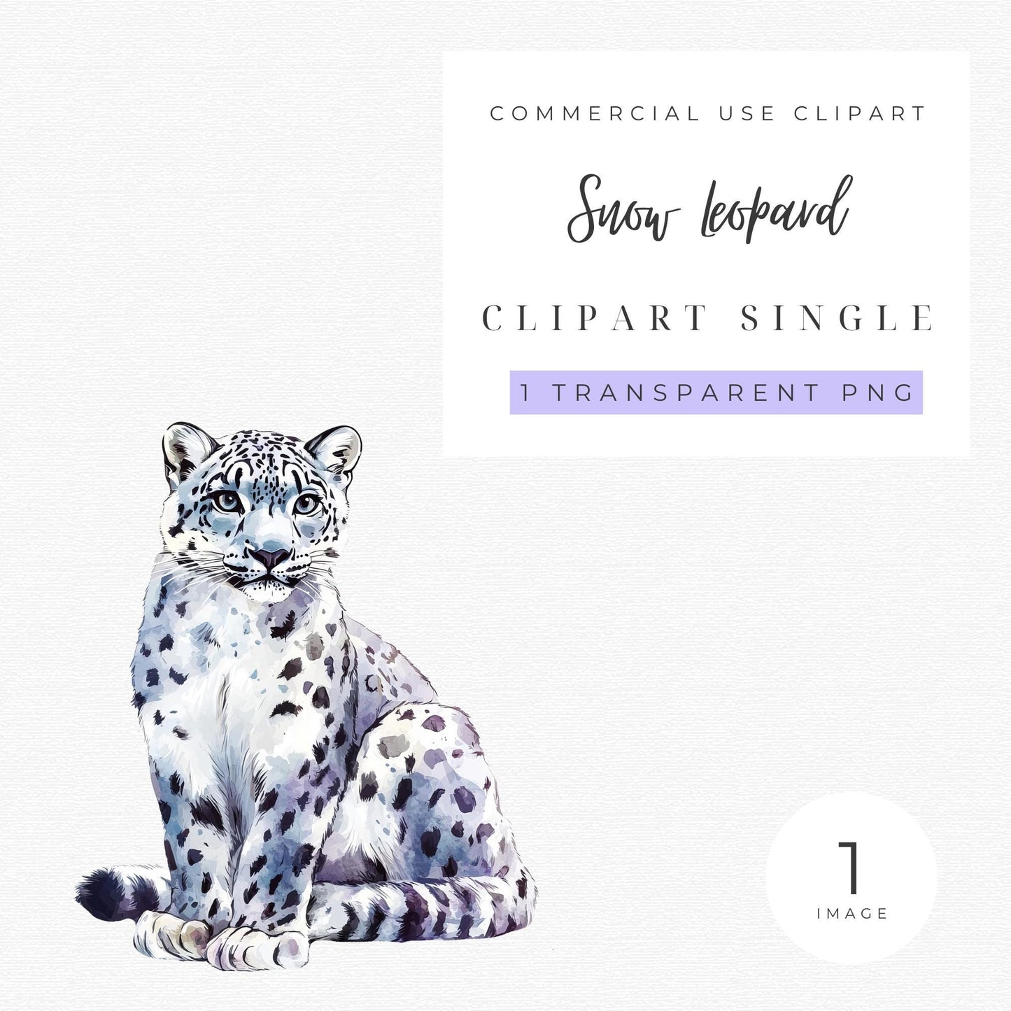 Snow Leopard Clipart