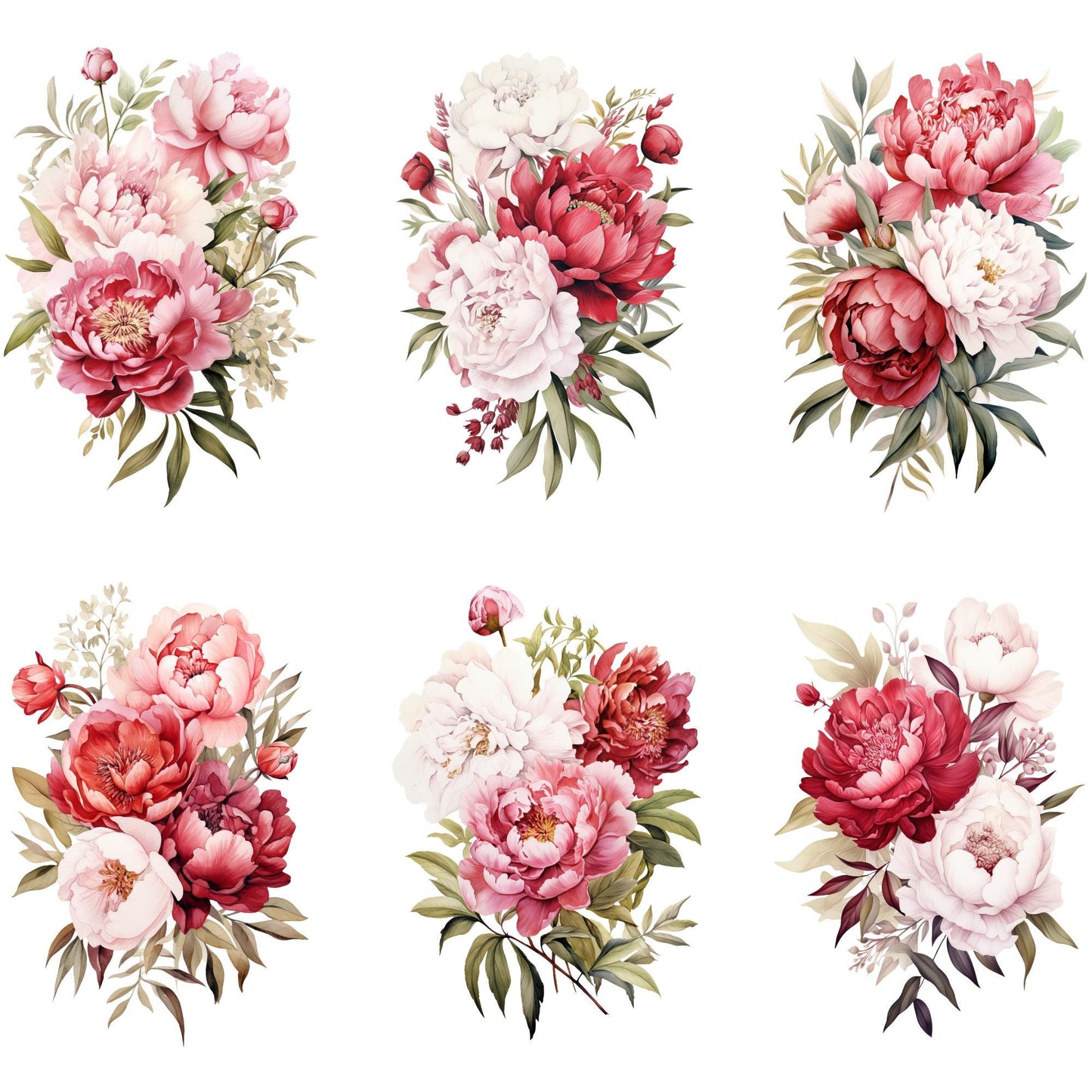 Clipart de peonía roja, blanca y ruborizada