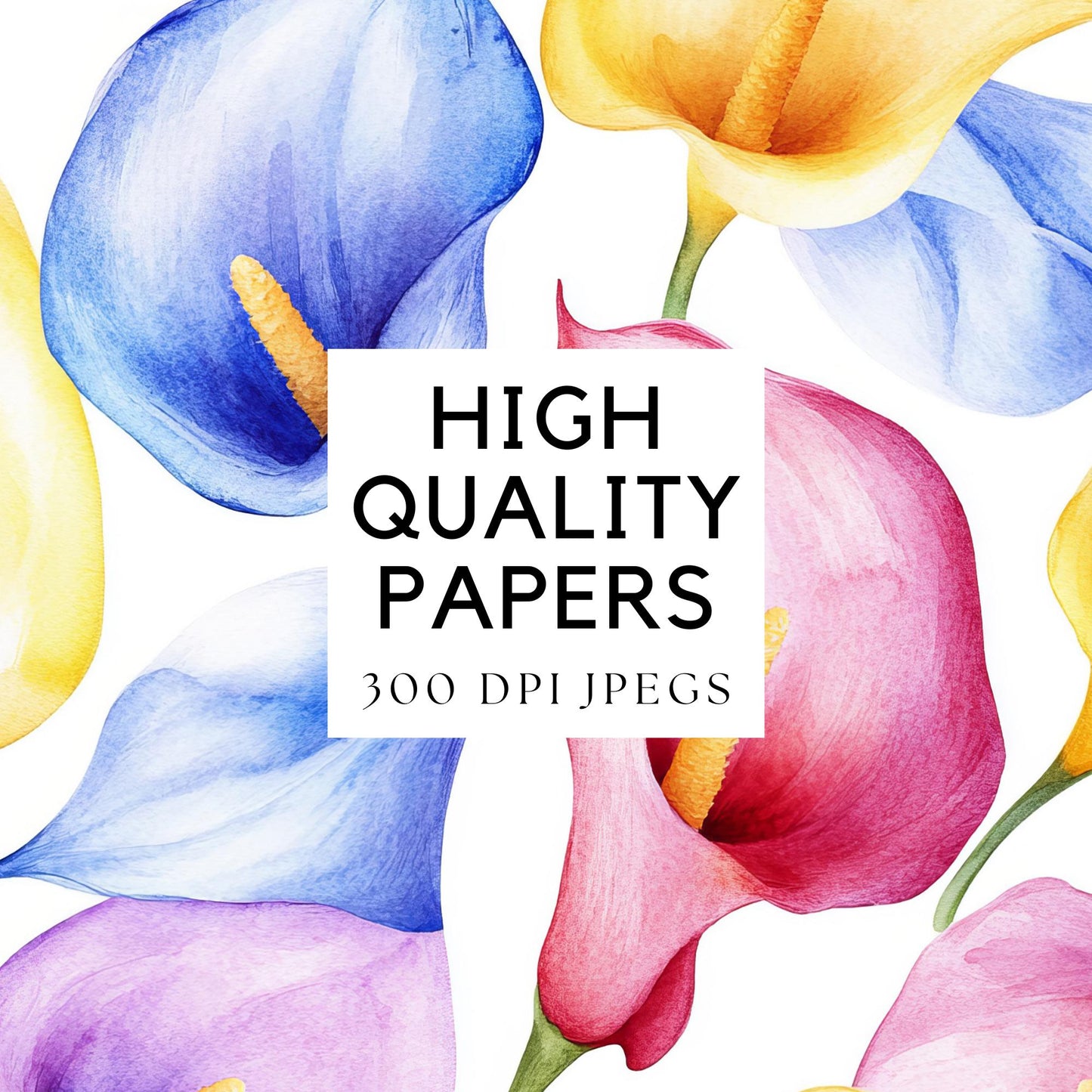 Watercolor Colorful Calla Lily Digital Papers