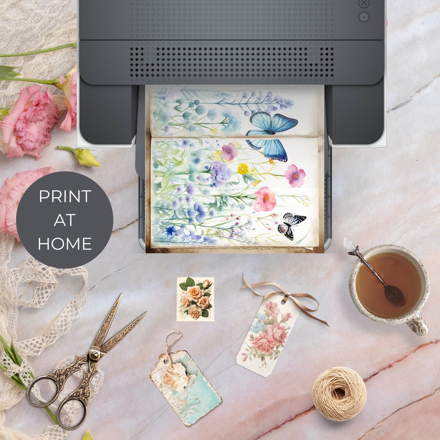 Páginas del diario basura de Butterfly Meadow, vol. 1