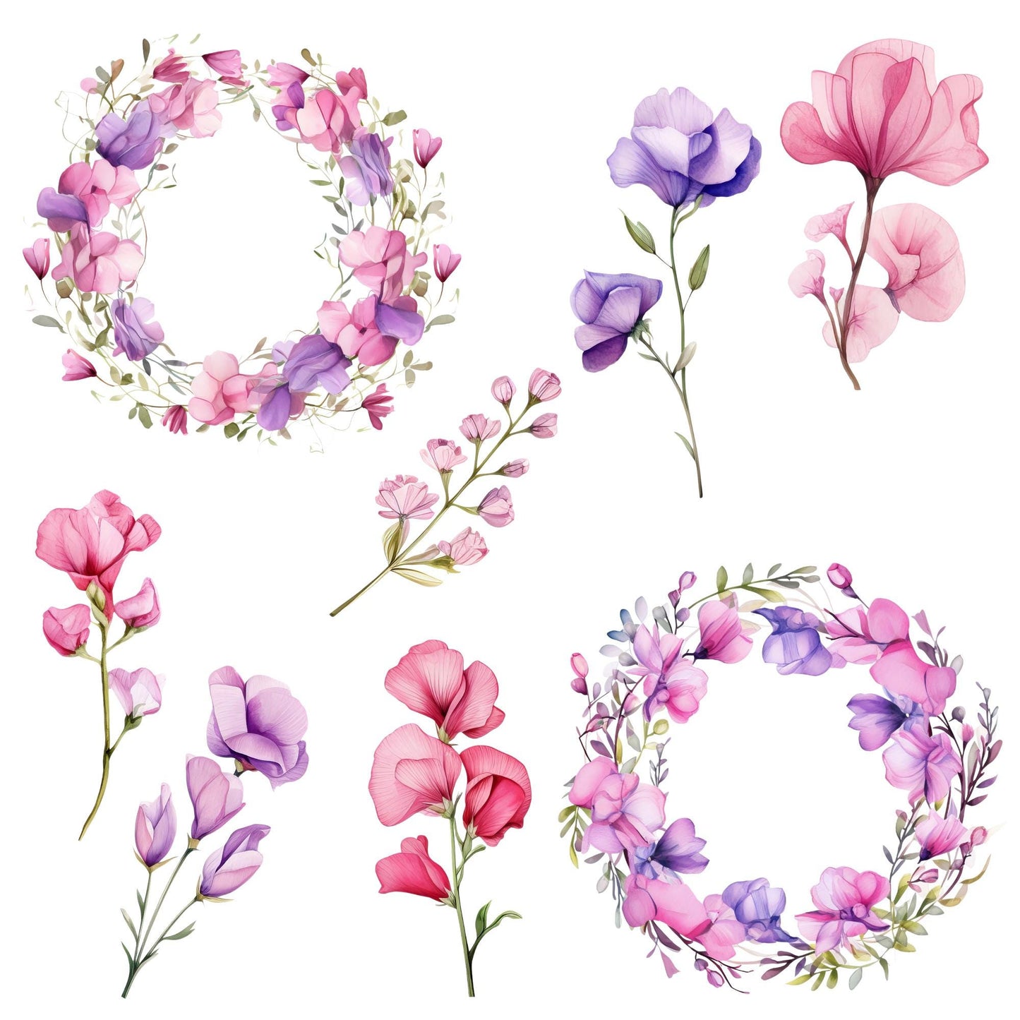 Watercolor Soft Pink and Purple Sweet Pea Watercolor Clipart