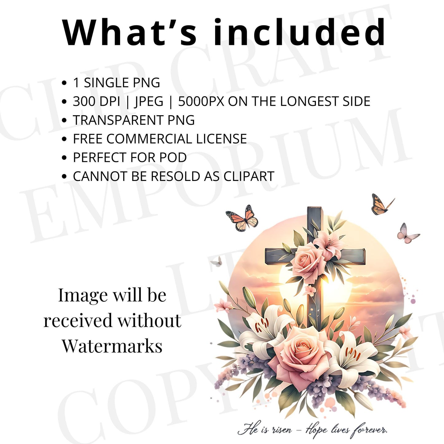 Diseños cristianos de sublimación de Pascua | Versículo bíblico PNG | Resucitó PNG | Camiseta de Pascua PNG | Flor silvestre bohemia PNG | Descarga digital