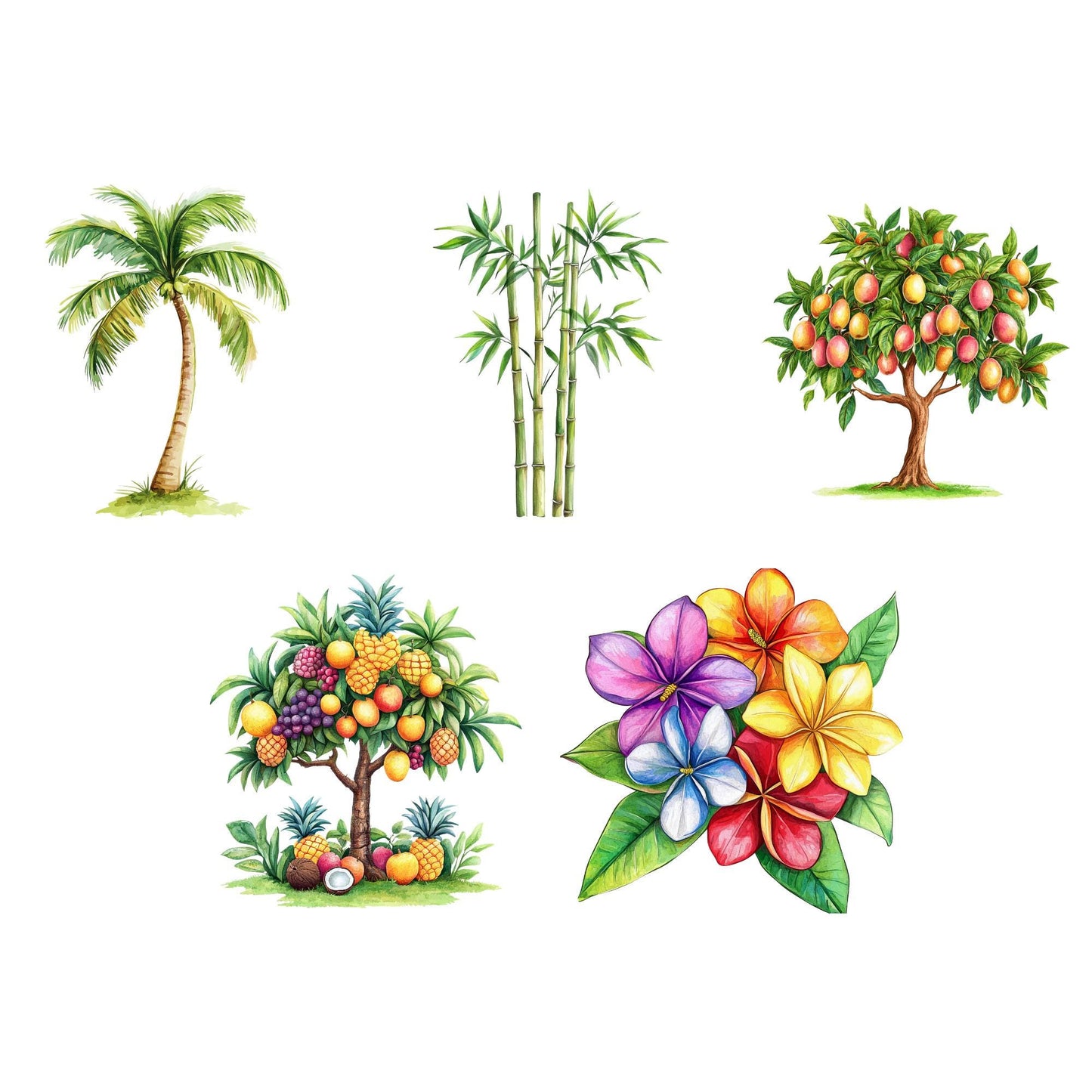 Wild One Safari Clipart